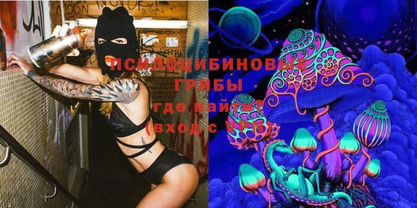 мяу мяу мука Михайлов
