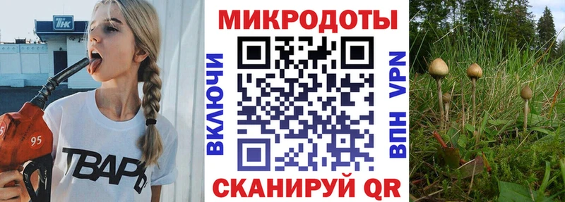 Псилоцибиновые грибы прущие грибы  купить закладку  Чапаевск 