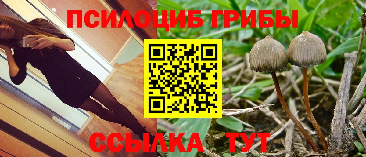 Чапаевск  наркота  Вход с VPN  Галлюциногенные грибы ЛСД 