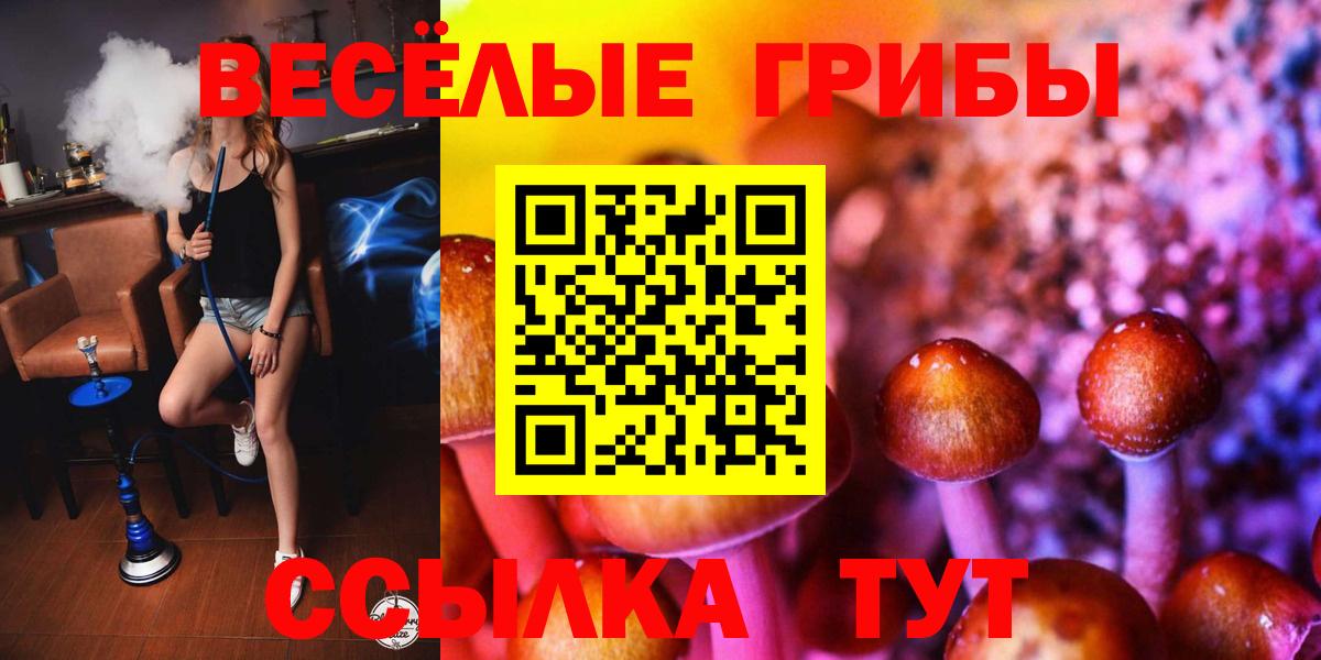 Псилоцибиновые грибы Magic Shrooms  Чапаевск  цены наркотик  Псилоцибиновые грибы MAGIC MUSHROOMS 